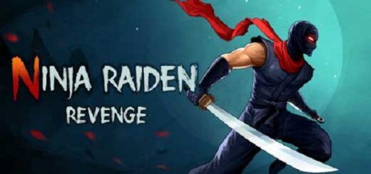Ninja Raiden Revenge