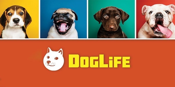 DogLife BitLife Dogs 